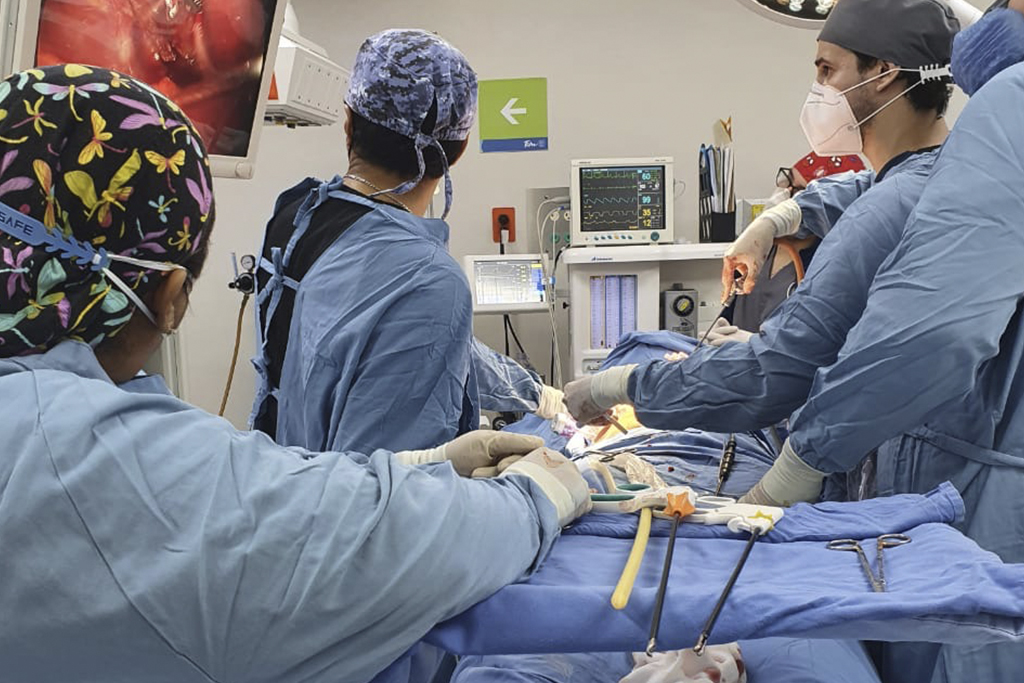 Oclusión intestinal