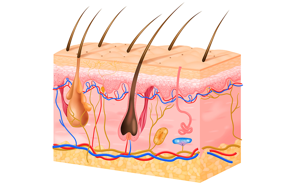 Tumoraciones subcutáneas